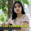 Tak Sedalam Ini