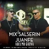 About Mix Salserin : No Importa / Un Amor Como El Nuestro / Entre Tu Y Yo / De Sol A Sol Song