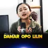 About Damar Opo Lilin Song
