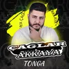 About Tonga Song