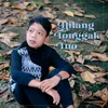 About Hilang Tonggak Tuo Song