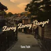 About Zaray Zaray Bangri Song