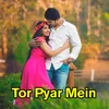 About Tor Pyar Mein Song