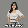 About Wurung Song