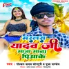 About Marlas Yadav Ji Maza Matha Piyake Song