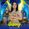 About Ilalang Song