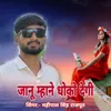 About Janu Mhane Dhoko Degi Song