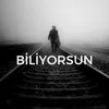 About Biliyorsun Song