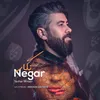 About Negar Song