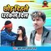 About Chhod Dihle Dhadkal Dil Song