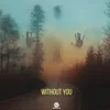 About Without you Song