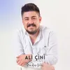 About Atım Arap Yıldız Song