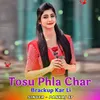 About Tosu Phla Char Brackup Kar Li Song