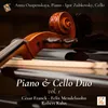 Sonata for Cello and Piano in D Minor, Op. 56: III. Allegro energico