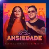 About Ansiedade Song