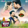 About Bandhan Tute Na Song