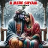 About A Mere Shyam Song