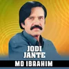 About Jodi Jante Song