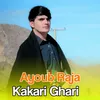 About Kakari Ghari Song