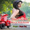 About Apno Ne Hi Diya Jakham Song