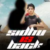 About Sidhu is Back Song