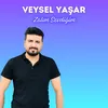 About Zalım Sevdiğim Song