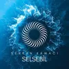 Selsebil