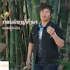 About ຄອຍນ້ອງຢູ່ທົ່ງນາ Song