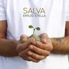 Salva