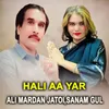 About Hali Aa Yar Song