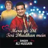 About Mera Ye Dil Teri Dhadkan Mein Song