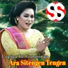 Ara Sitengen Tengen