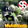 About Mahdalena Song