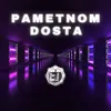 About Pametnom dosta Song