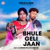 About Bhule Geli Jaan Song