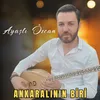 About Ankaralının Biri Song