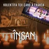 About Însan Song