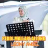 Peddi Mallapi Allung