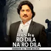 About Ro Dila Na Ro Dila Song