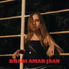 About Bhabi Amar Jaan Song