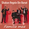 About Familia mea Song