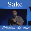 About Bibelou de aur Song