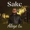 About Alege tu Song