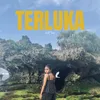 TERLUKA