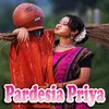 About Pardesia Priya Song