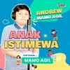 About Anak Istimewa Song