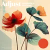 About Adjust Song