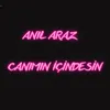 About Canımın İçindesin Song