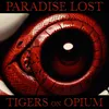 About Paradise Lost Song