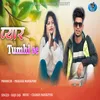 About Pyar Tumhi Se Song